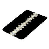Lumbar en Thoracic Vertebrae Magneet (Linkerzijde)