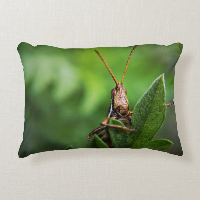 Lumbar Pillow 13 x 21 inch Accent Kussen (Voorkant)