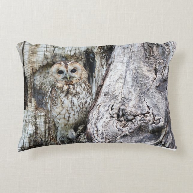 Lumbar Pillow 13 x 21 inch Accent Kussen (Voorkant)