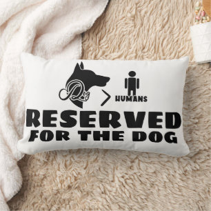 Lumbar Pillow 13 x 21 inch Kussen