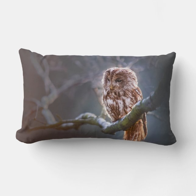 Lumbar Pillow 13 x 21 inch Kussen (Voorkant)