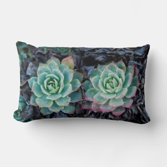 Lumbar Pillow natuur succulent texture Kussen (Voorkant)
