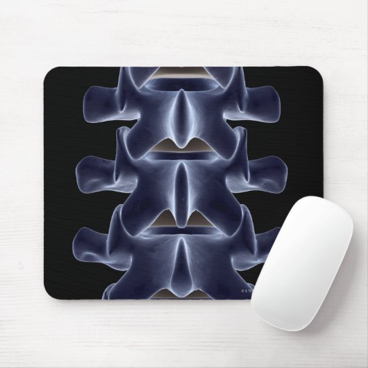 Lumbar Vertebra 2 Muismat (Met muis)