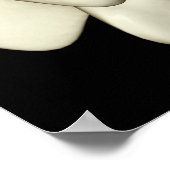 Lumbar Vertebra 4 Poster (Hoek)