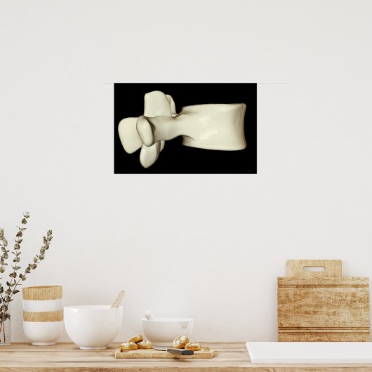 Lumbar Vertebra 4 Poster (Keuken)