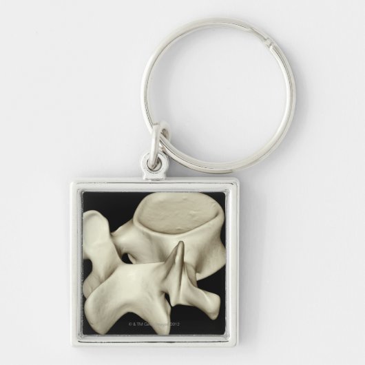 Lumbar Vertebra 4 Sleutelhanger (Voorkant)