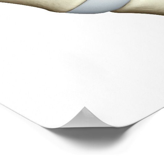 Lumbar Vertebrae 2 Poster (Hoek)