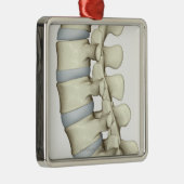Lumbar Vertebrae Metalen Ornament (Rechts)