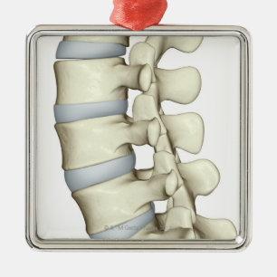 Lumbar Vertebrae Metalen Ornament