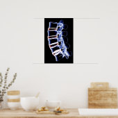 Lumbar Vertebrae Poster (Keuken)