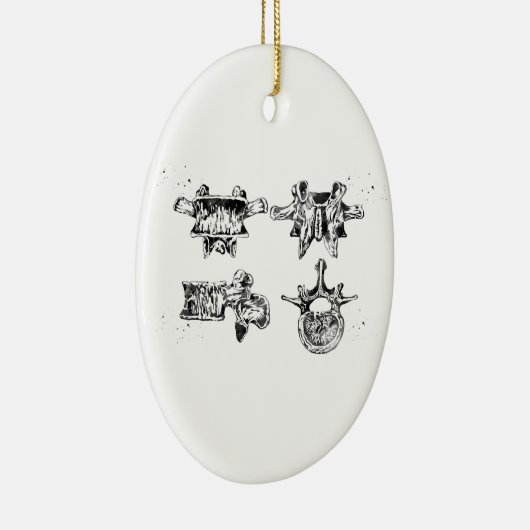 Lumbarstructuur van de wervelkolom keramisch ornament (Rechts)