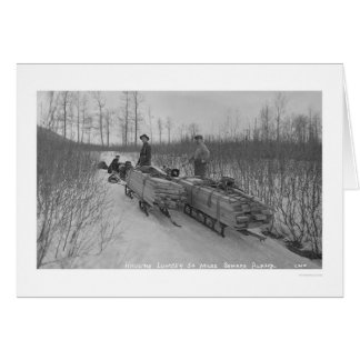 Lumber Dog Seward, Alaska 1917