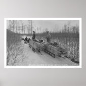 Lumber Dog Seward, Alaska 1917 Poster (Voorkant)