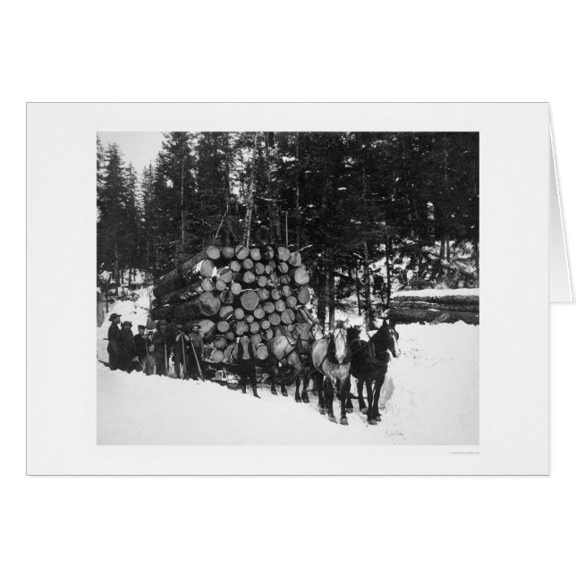 Lumber Hauling Seward, Alaska 1919 (Voorkant Horizontaal)