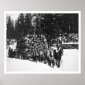 Lumber Hauling Seward, Alaska 1919 Poster (Voorkant)