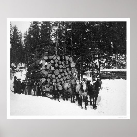 Lumber Hauling Seward, Alaska 1919 Poster (Voorkant)