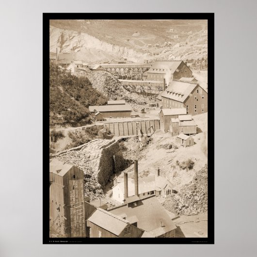 Lumber Mill & Gold Stamp Mill Terraville SD 1888 Poster (Voorkant)