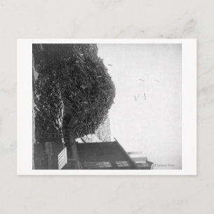 Lumber-pool buiten de foto De-Smet-Mill Briefkaart