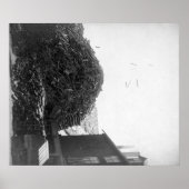 Lumber-pool buiten de foto De-Smet-Mill Poster (Voorkant)