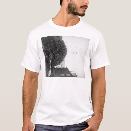 Lumber-pool buiten de foto De-Smet-Mill T-shirt (Voorkant)