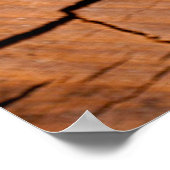 Lumberhout, dwarsdoorsnede poster (Hoek)