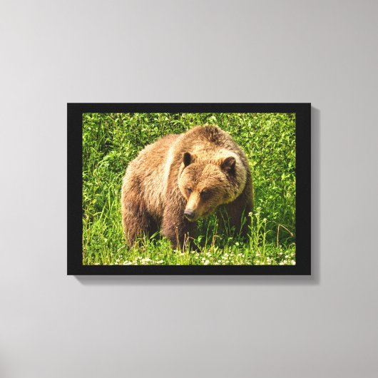 Lumbering Grizzly Beer Canvas afdrukken (Voorkant)