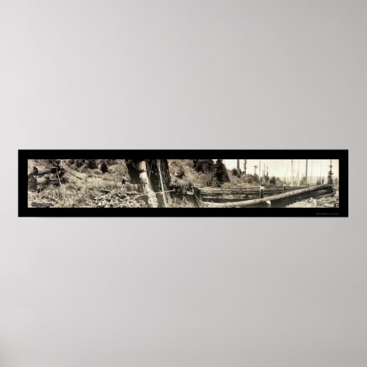 Lumberjack Redwood Foto 1915 Poster (Voorkant)