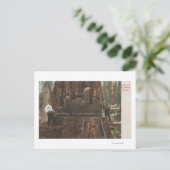 Lumberjacks die een sequoiaboom uitsnijden briefkaart (Staand voorkant)