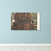 Lumberjacks die een sequoiaboom uitsnijden canvas afdruk (Insitu (Houten vloer))