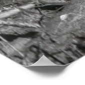 LUMBERJACKS HOOG OP EEN REDWOOD c. 1889 Poster (Hoek)