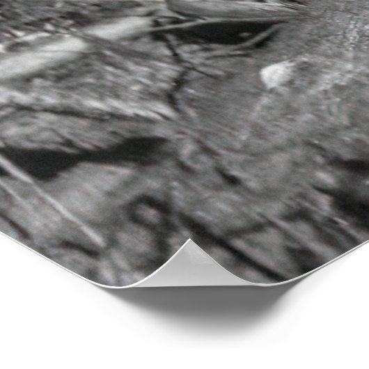 LUMBERJACKS HOOG OP EEN REDWOOD c. 1889 Poster (Hoek)