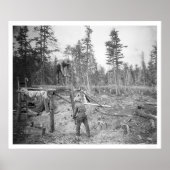 Lumberjacks in Alaska 1916 Poster (Voorkant)