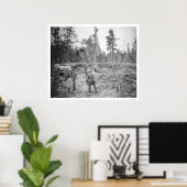 Lumberjacks in Alaska 1916 Poster (Thuiskantoor)