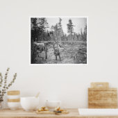 Lumberjacks in Alaska 1916 Poster (Keuken)