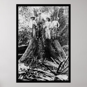 Lumberjacks in Mindoro, Filipijnen, 1906 Poster