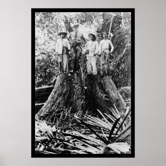 Lumberjacks in Mindoro, Filipijnen, 1906 Poster (Voorkant)