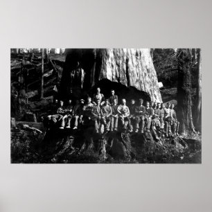 LUMBERJACKS in ONDERNEMING — 1884 Poster