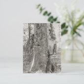 Lumberjacks met Giant Fir, 1905 Briefkaart (Staand voorkant)