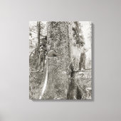 Lumberjacks met Giant Fir, 1905. foto Canvas Afdruk (Voorkant)