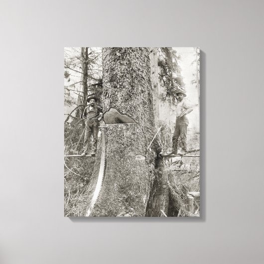 Lumberjacks met Giant Fir, 1905. foto Canvas Afdruk (Voorkant)