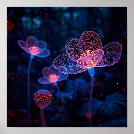 Lumen Lense Poster (Voorkant)