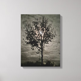 Lumieke stilte: een vollemaan nacht canvas afdruk