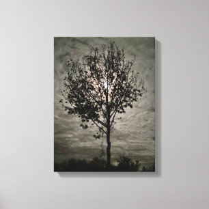Lumieke stilte: een vollemaan nacht canvas afdruk