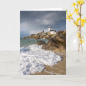 Lumière délicieuse dans le Finistere Nord Kaart (Gele Bloem)