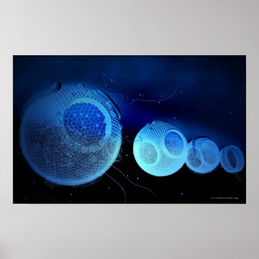 Luminescente afbeelding van HDL Poster (Voorkant)