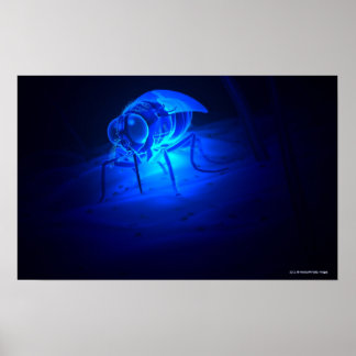 Luminescente illustratie van een testvlieg poster