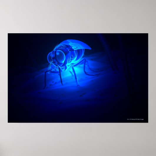 Luminescente illustratie van een testvlieg poster (Voorkant)