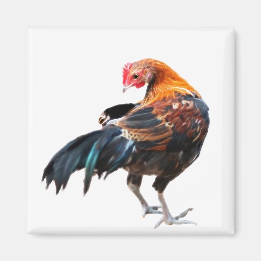 Lumineuze Chicken Art Magneet (Voorkant)