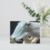 Lumineuze inktvis briefkaart (Staand voorkant)