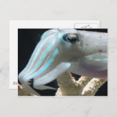 Lumineuze inktvis briefkaart (Voorkant / Achterkant)